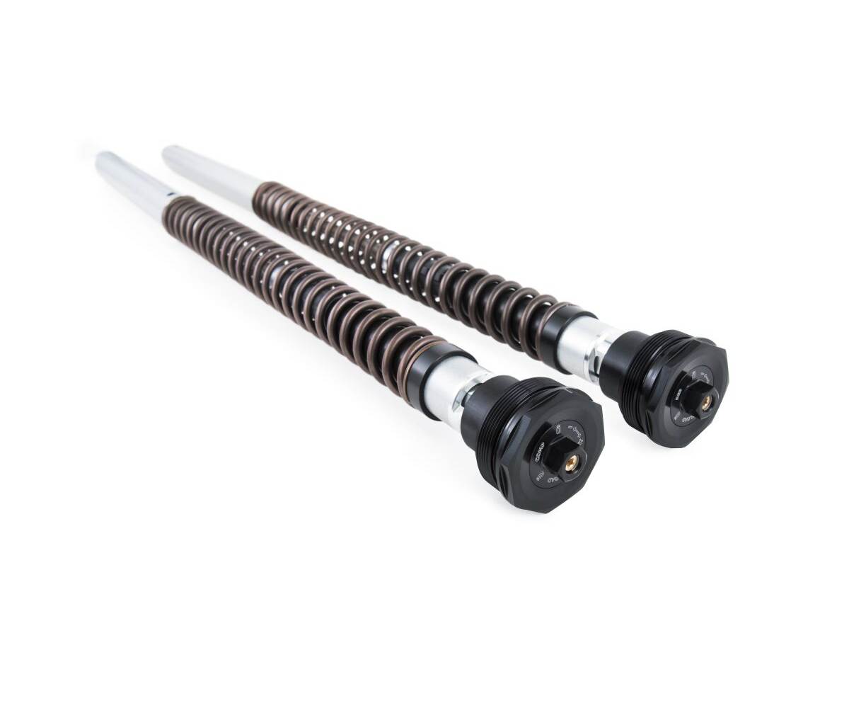 Harley Davidson Softail Fatbob / Low Rider S Öhlins TTX22 cartridge kit