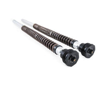 Harley Davidson Softail Fatbob / Low Rider S Öhlins TTX22 cartridge kit