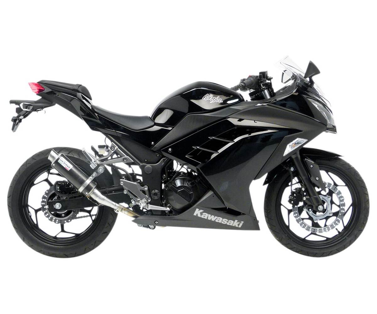 Kawasaki NINJA 300R (2013-2017) - Leo Vince Slip on – GP Corsa udstødning