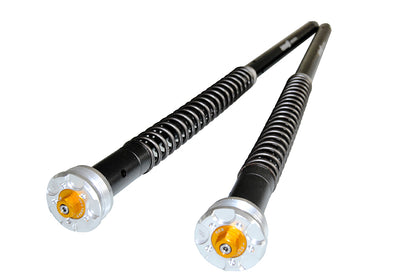 Honda NX650 Dominator (94-) - Andreani Misano EVO 2 cartridge kit