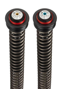 TRIUMPH BONNEVILLE T100 (2001-2008) Bitubo Cartrigekit (fully adjustable)