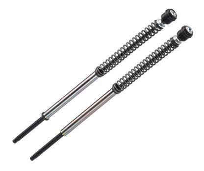 Cartrigekit til HARLEY DAVIDSON - Forgaffel kit Road Glide