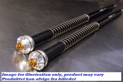 Harley Davidson V-ROD 2003-2012: Andreani Justerbar Cartridge kit "MISANO"