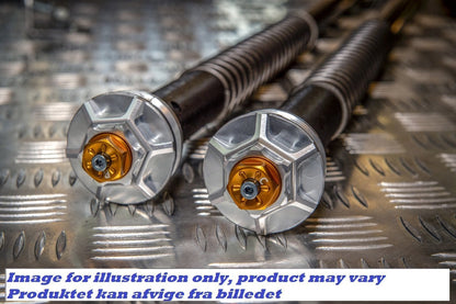 Caballero 500 (2018-) - Andreani Justerbar Cartridge kit "MISANO EVO" (stroke +18mm)