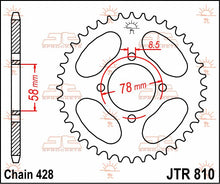 stål bagkædehjul 43T 428 - JTR810.43 - JT Sprockets - Pitboxen.dk