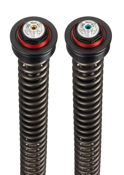 TRIUMPH STREET TRIPLE 765 RS (2020 - >) Bitubo Cartrigekit (fully adjustable) - Pitboxen.dk